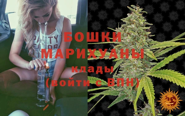 СК Волоколамск