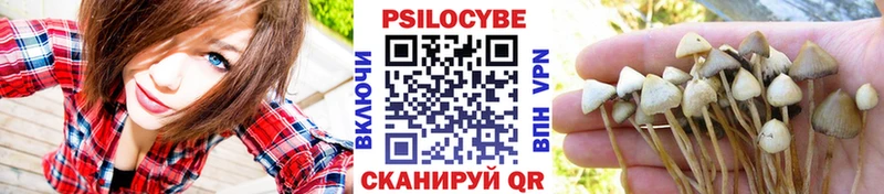 как найти   Онега  Псилоцибиновые грибы MAGIC MUSHROOMS 